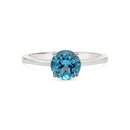 Sterling Silver - Blue Topaz