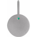 14K White Gold - Aries