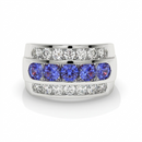 14K White Gold - Tanzanite