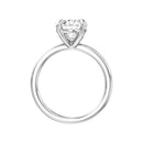 14K White Gold - 3.00