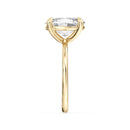 14K Yellow Gold - 3.00