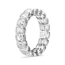 Platinum - 4.00